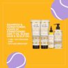 Carol's Daughter X Coco Gauff Goddess Strong Bundle: Hair Care Kit with Shampoo, Conditioner, Leave-In Treatment and Scalp Oil, 4 Items by nugala - Image 6