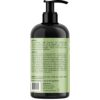 Mielle Organics Rosemary Mint Strengthening Conditioner with Biotin, 12 Ounce by nugala - Image 3