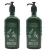 Bath & Body Works Aromatherapy Stress Relief - Eucalyptus + Spearmint Body Lotion, 6.5 Fl Oz, 2-Pack by nugala - Image 2