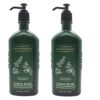 Bath & Body Works Aromatherapy Stress Relief - Eucalyptus + Spearmint Body Lotion, 6.5 Fl Oz, 2-Pack by nugala - Image 5