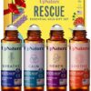 Important Oils Roll On Set (4 Pack) Stress Aid Presents Aromatherapy Self Care Small Presents for Girls Leisure Enjoyable Reward by nugala - Image 2