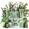 Christmas Tea Tree Bath Set - Luxury Home Spa Set with Calming Mint Fragrance – 15 pc Relaxation Gift Basket, Tea Tree Bath Oil,Shower Gel, Bubble Bath, Handmade Soap, Steamer Tablet, Potpourri & More by nugala - Image 2