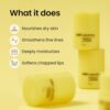 CNP Honey Lip Butter - Propolis Lipcerin™ Original, Hydrating Overnight Manuka Lip Balm & Mask, 12hrs Long-lasting Moisture, Gifts for Women, Korean Skin Care, 0.5 fl.oz. by nugala - Image 3