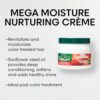 L'Oréal Technique Nature's Therapy Mega Moisture Crème | Conditioning Hair Cream | Detangles, Softens, and Adds Shine | With Botanical Extracts | For All Hair Types by nugala - Image 3