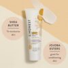 The Honest Company 2-in-1 Cleansing Shampoo + Body Wash and Face + Body Lotion Bundle | Gentle for Baby | Naturally Derived | Citrus Vanilla Refresh, 18.5 fl oz by nugala - Image 4