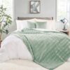 NEXHOME PRO Faux Fur Throw Blanket Sage Green, Soft Cozy Plush Fleece Blanket for Sofa Couch Bed Living Room, Dual Sided Blankets for Women Men Kids Twin 60 * 80 Inches by nugala - Image 3