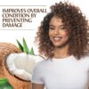 Biosilk Silk Therapy with Natural Coconut Oil Leave-In Treatment, Helps Control Frizz & Flyaways, Sulfate, Paraben & Cruelty-Free, 5.64 Oz by nugala - Image 3