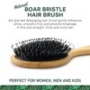 Natural Boar Bristle Hair Brush for Women, Men, Kids; Dry and Wet Detangling Hair Brush Gently Enhances Shine, Smooths Frizz and Prevents Breakage in Fine and Straight, Thick and Curly Hair (oval) by nugala - Image 3