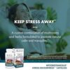 Host Defense MycoBotanicals Stress Decompress* Capsules - Mushroom Supplement with Lemon Balm & Ashwagandha Root - Relaxation Capsules with Reishi, Lion's Man & Skullcap - 60 Capsules (30 Servings) by nugala - Image 4