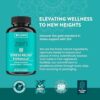 WellPath Zen Stress Relief Supplement + Mood Support | Calm, Stress & Energy Support | Ashwagandha Root, Rhodiola Rosea, L-Theanine, Lemon Balm | Herbal Capsules, 60 Ct by nugala - Image 6