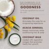 SheaMoisture 100% Virgin Coconut Oil Leave-in Conditioner Treatment for All Hair Types 100% Extra Virgin Coconut Oil Silicone Free Conditioner 8 oz by nugala - Image 5